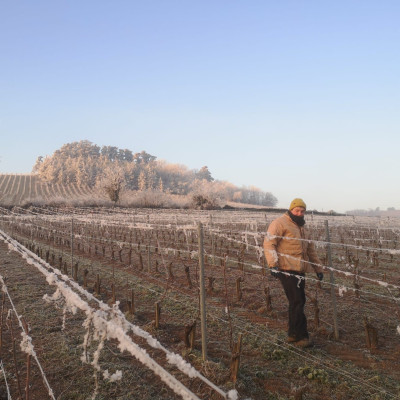 Château de Poncié Fleurie Beaujolais