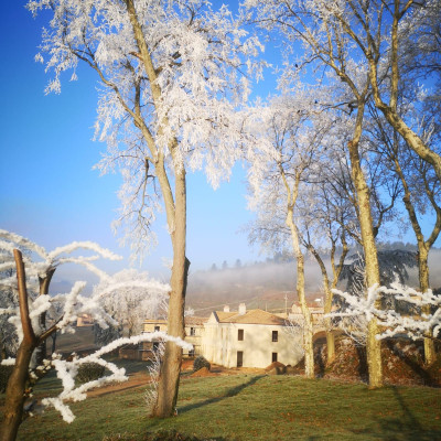 Currently at Château de Poncié...